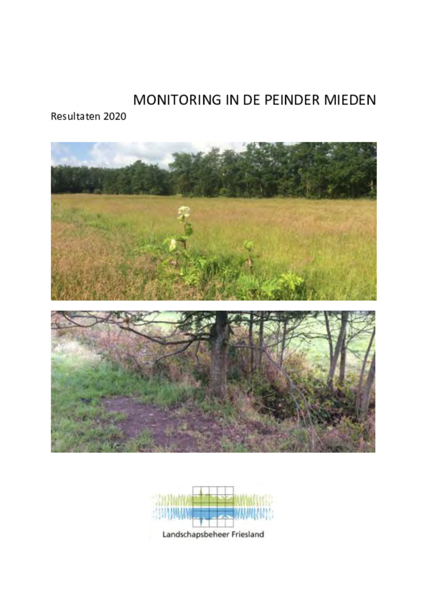 Verslag monitoring 2020 LBF